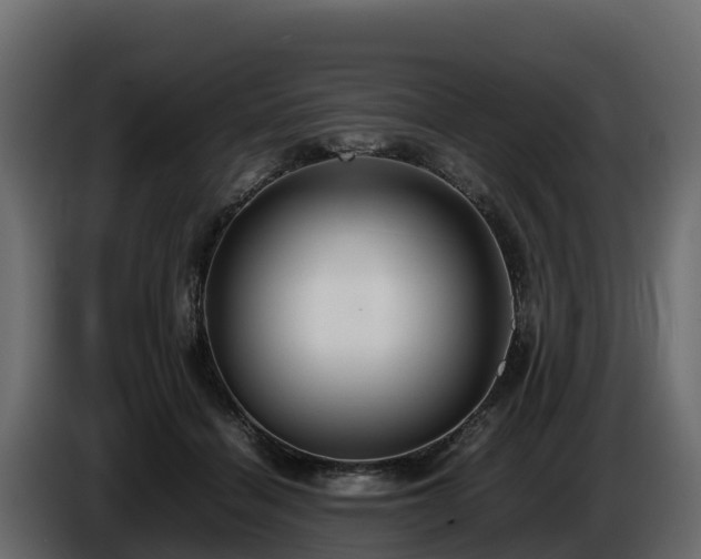 X0000085790460200703231311