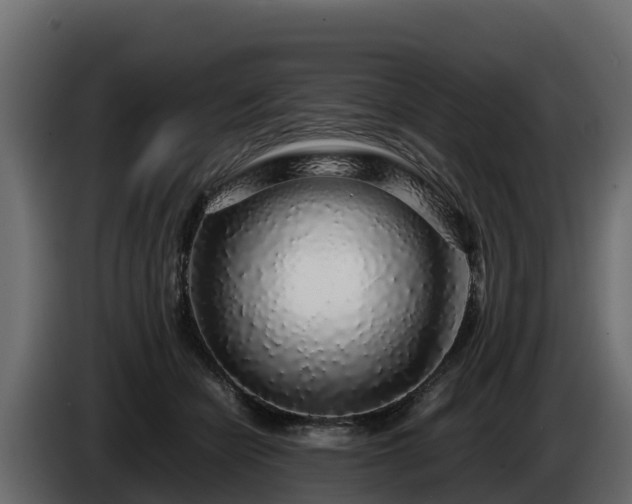 X0000085790462200703231311