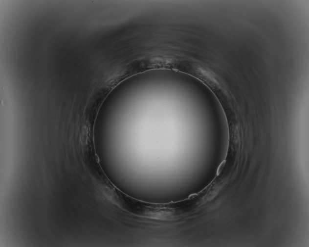 X0000085790463200703231312