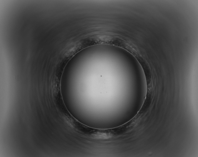 X0000085790464200703231312