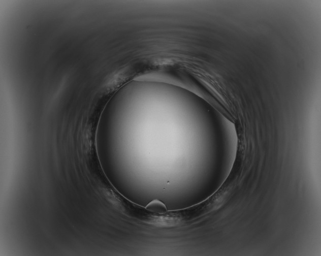 X0000085790466200703231312