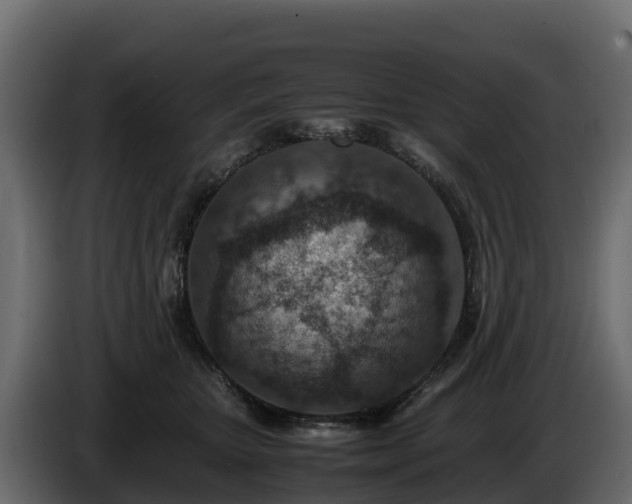 X0000085790467200703231312