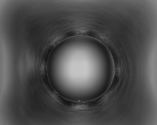 X0000085790468200703231312