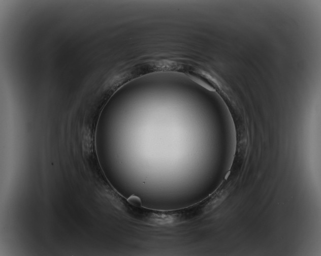 X0000085790469200703231312