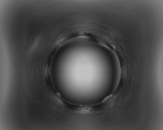 X0000085790474200703231312