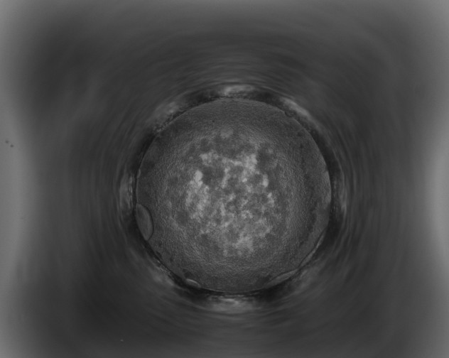 X0000085790475200703231312