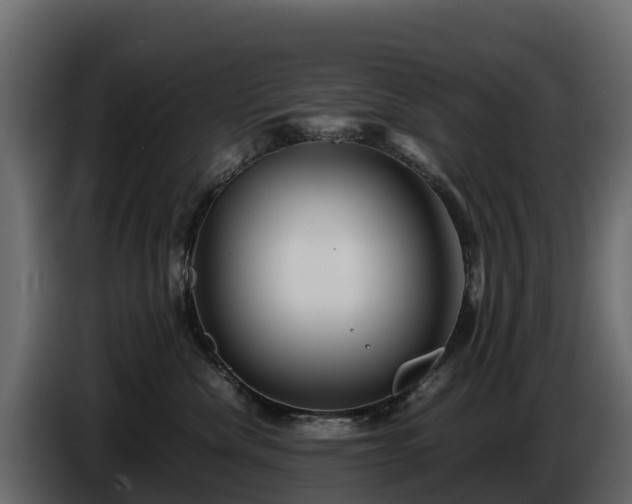 X0000085790476200703231312