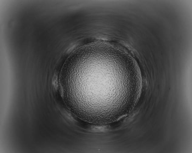 X0000085790479200703231312