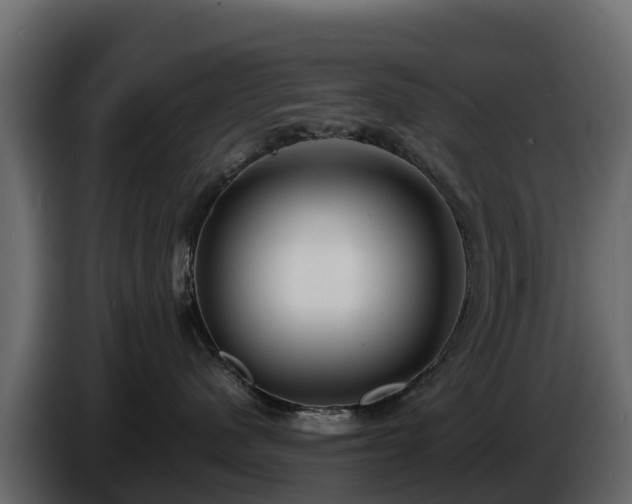 X0000085790480200703231312