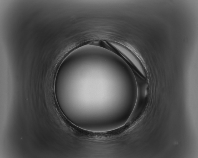 X0000085790481200703231311