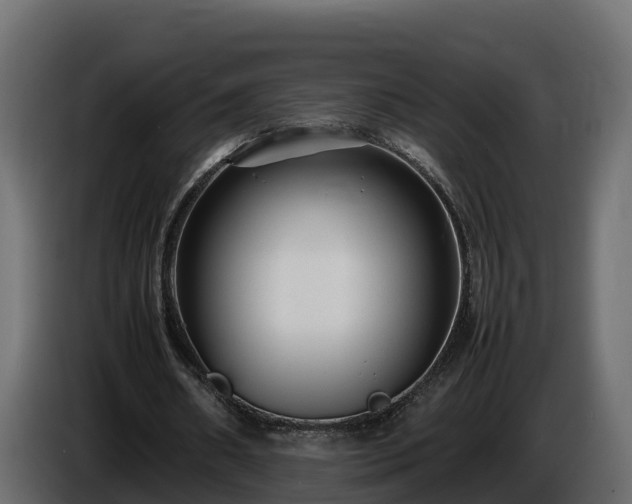 X0000085790482200703231311
