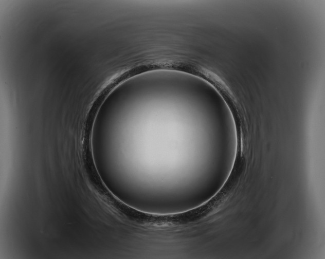 X0000085790483200703231311