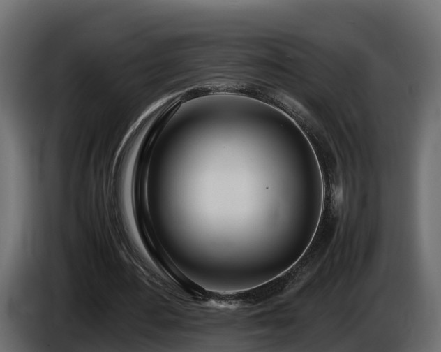 X0000085790484200703231311