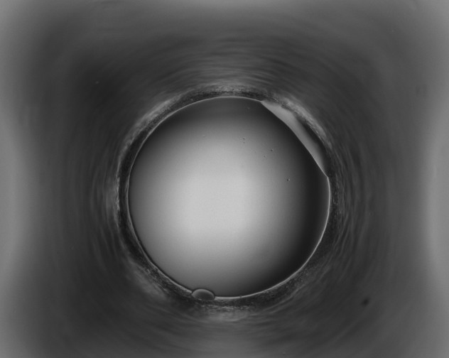 X0000085790486200703231311