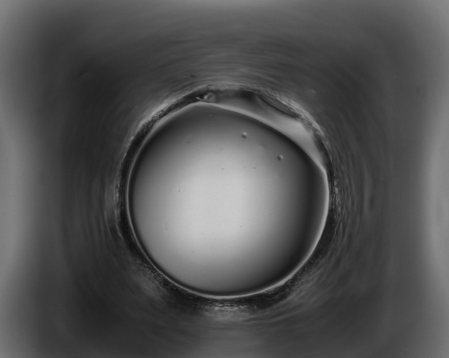 X0000085790487200703231311