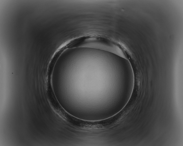 X0000085790488200703231311