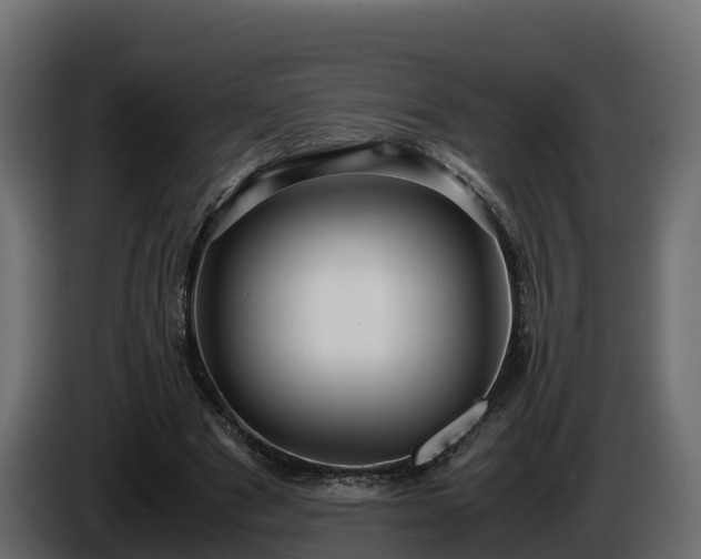 X0000085790489200703231311