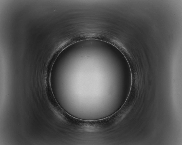 X0000085790490200703231311