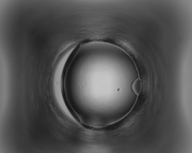 X0000085790491200703231311