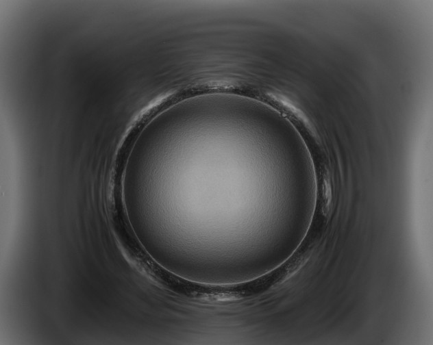 X0000085790492200703231311