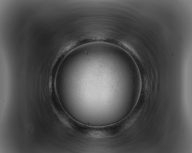 X0000085790494200703231311