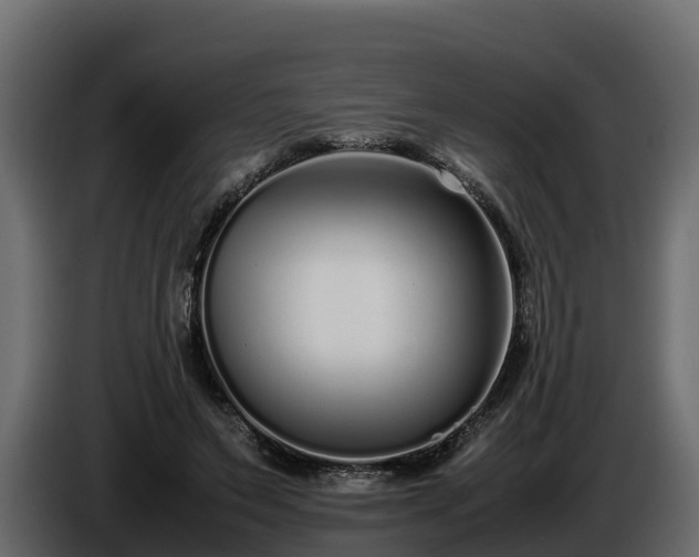 X0000085790495200703231311