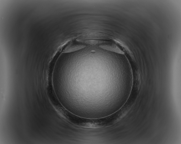 X0000085790496200703231311