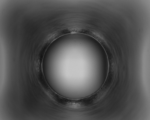 X0000085790498200703231311