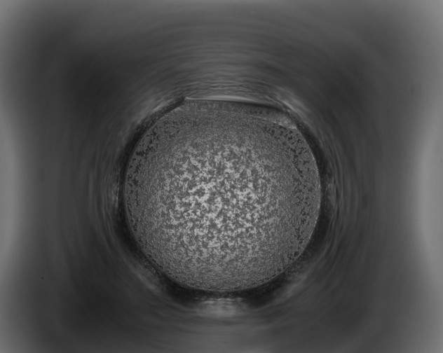 X0000085790499200703231311