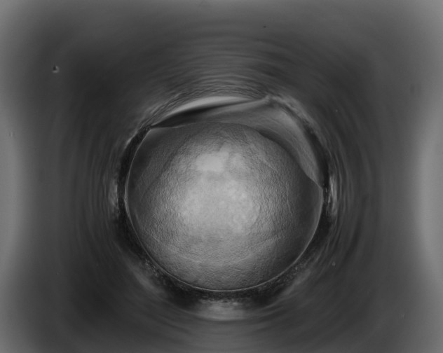 X0000085790500200703231311