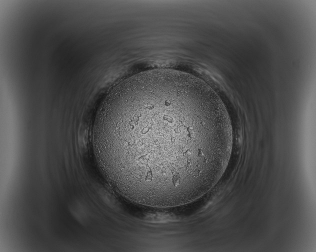 X0000085790503200703231311