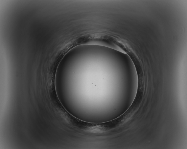 X0000085790505200703231311