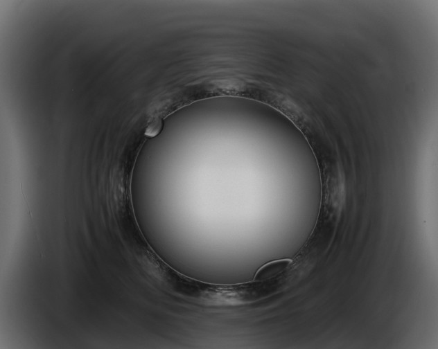 X0000085790518200703231311