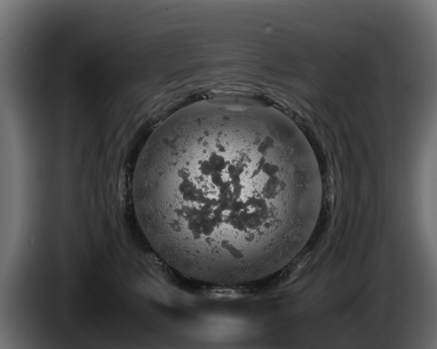 X0000085790519200703231311