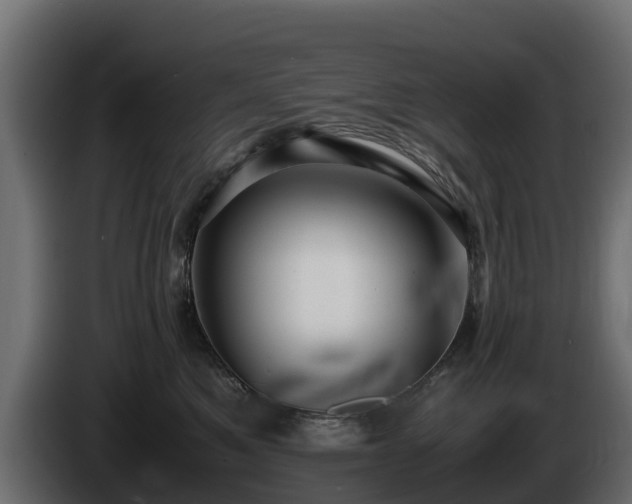 X0000085790521200703231310