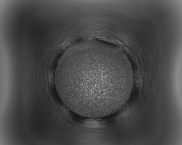 X0000085790523200703231310