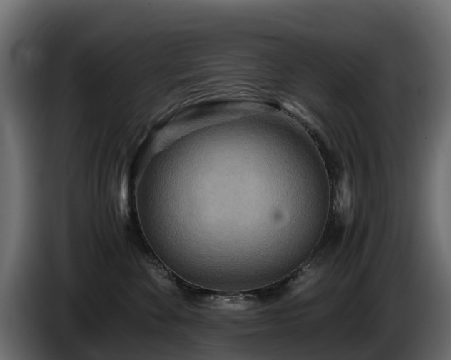 X0000085790524200703231310