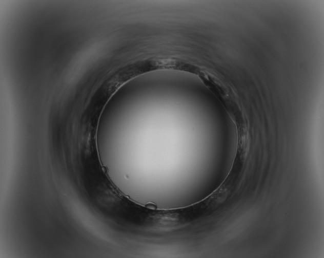 X0000085790525200703231310
