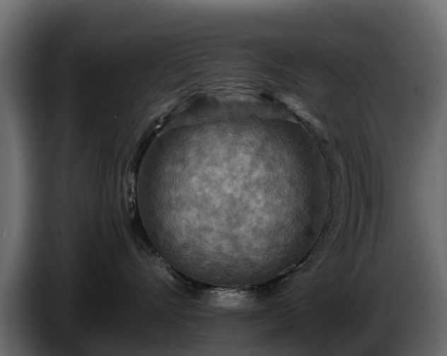X0000085790528200703231310