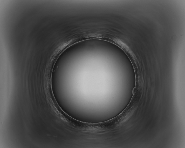 X0000085790529200703231310