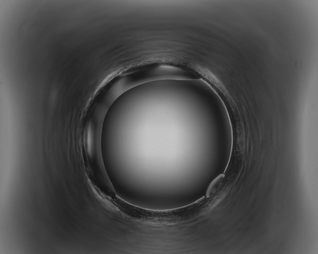 X0000085790530200703231310