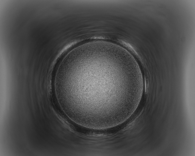 X0000085790531200703231310