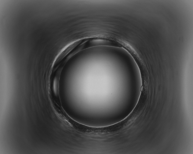 X0000085790532200703231310
