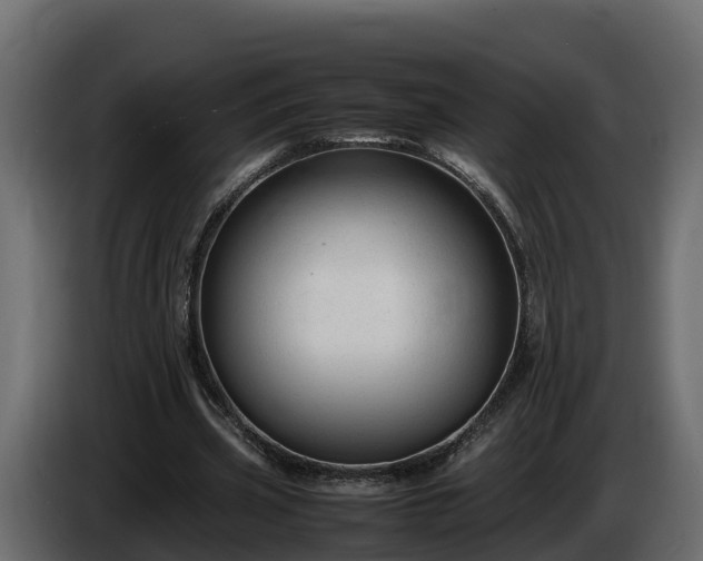 X0000085790533200703231310