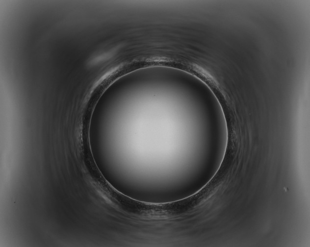 X0000085790535200703231310