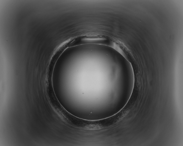 X0000085790536200703231310