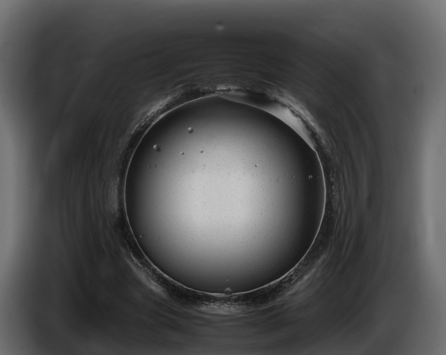 X0000085790537200703231310