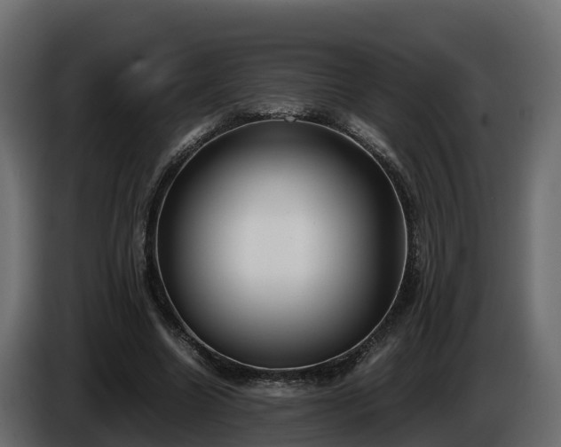 X0000085790538200703231310