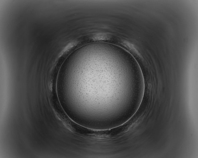 X0000085790539200703231310