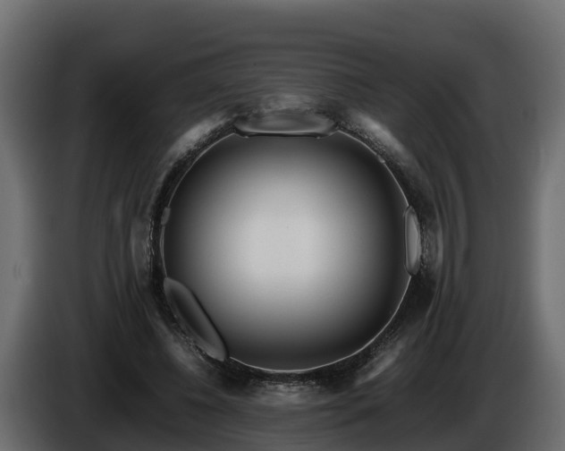 X0000085790540200703231310